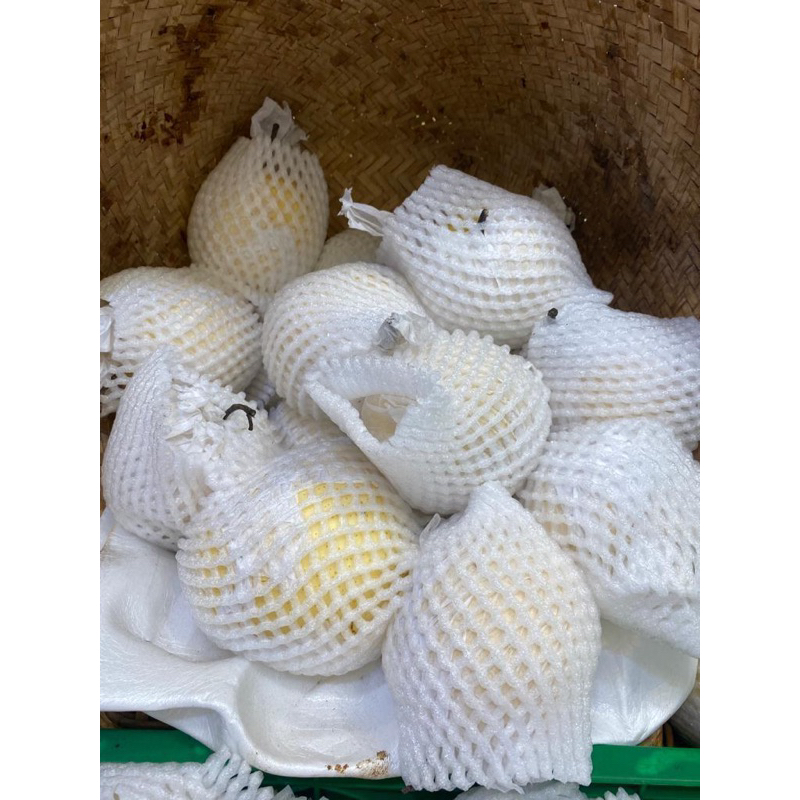 

BUAH PEAR 500gr