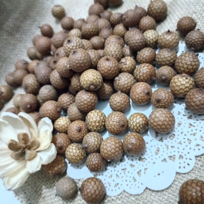 ROTAN BULAT /BIJI ROTAN BULAT KERING RUSTIC