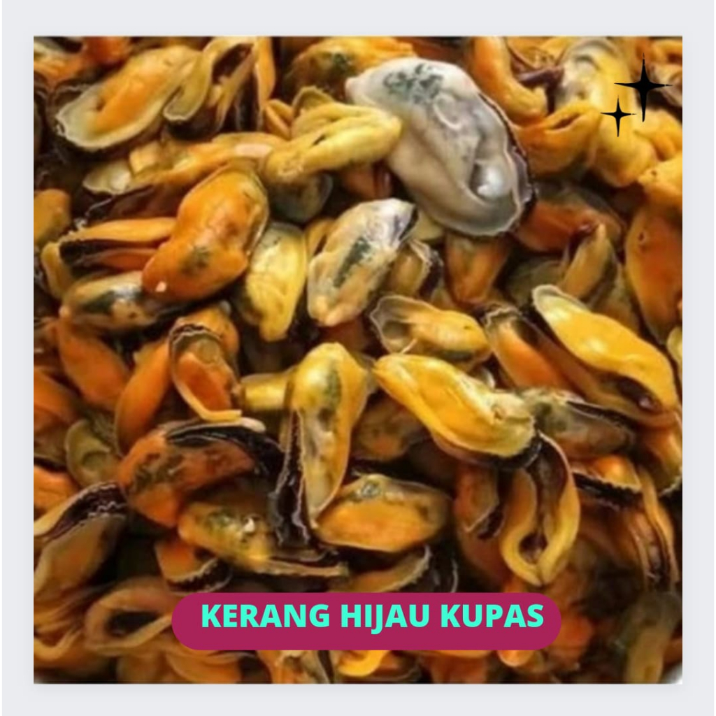 

Kerang Hijau Kupas Segar 500gr
