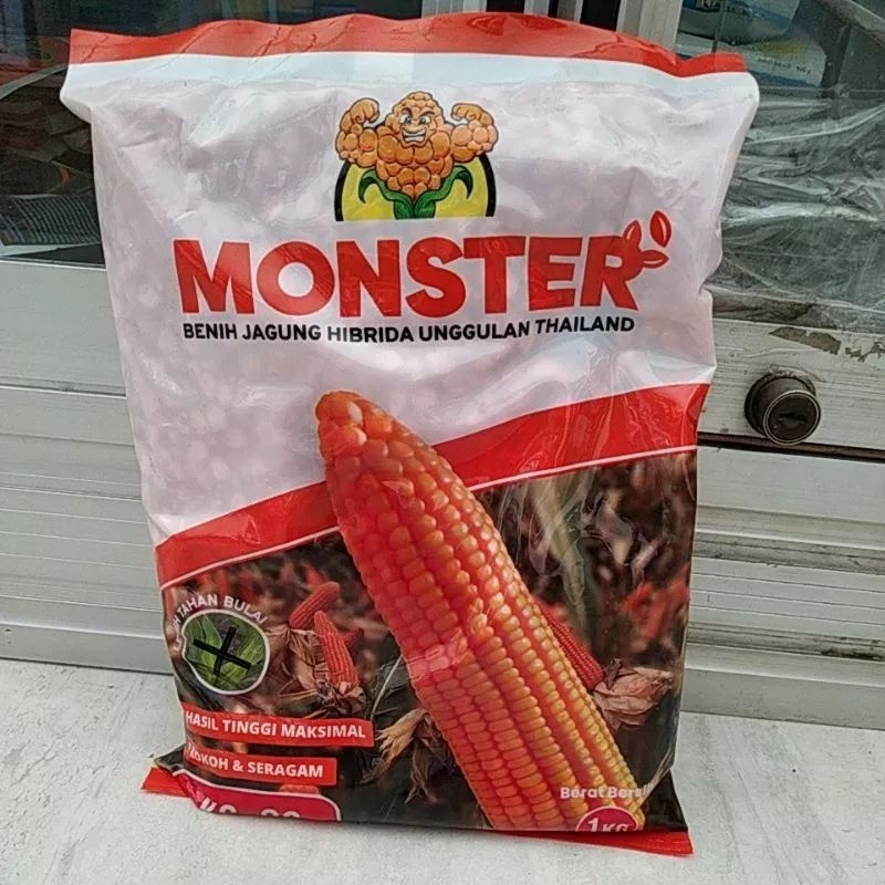 Benih Jagung Hibrida KS-89 MONSTER 1kg