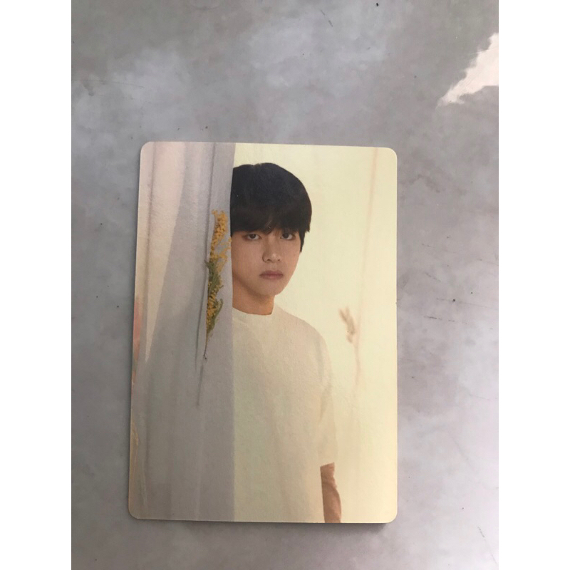 photocard/pc v bts love yourself