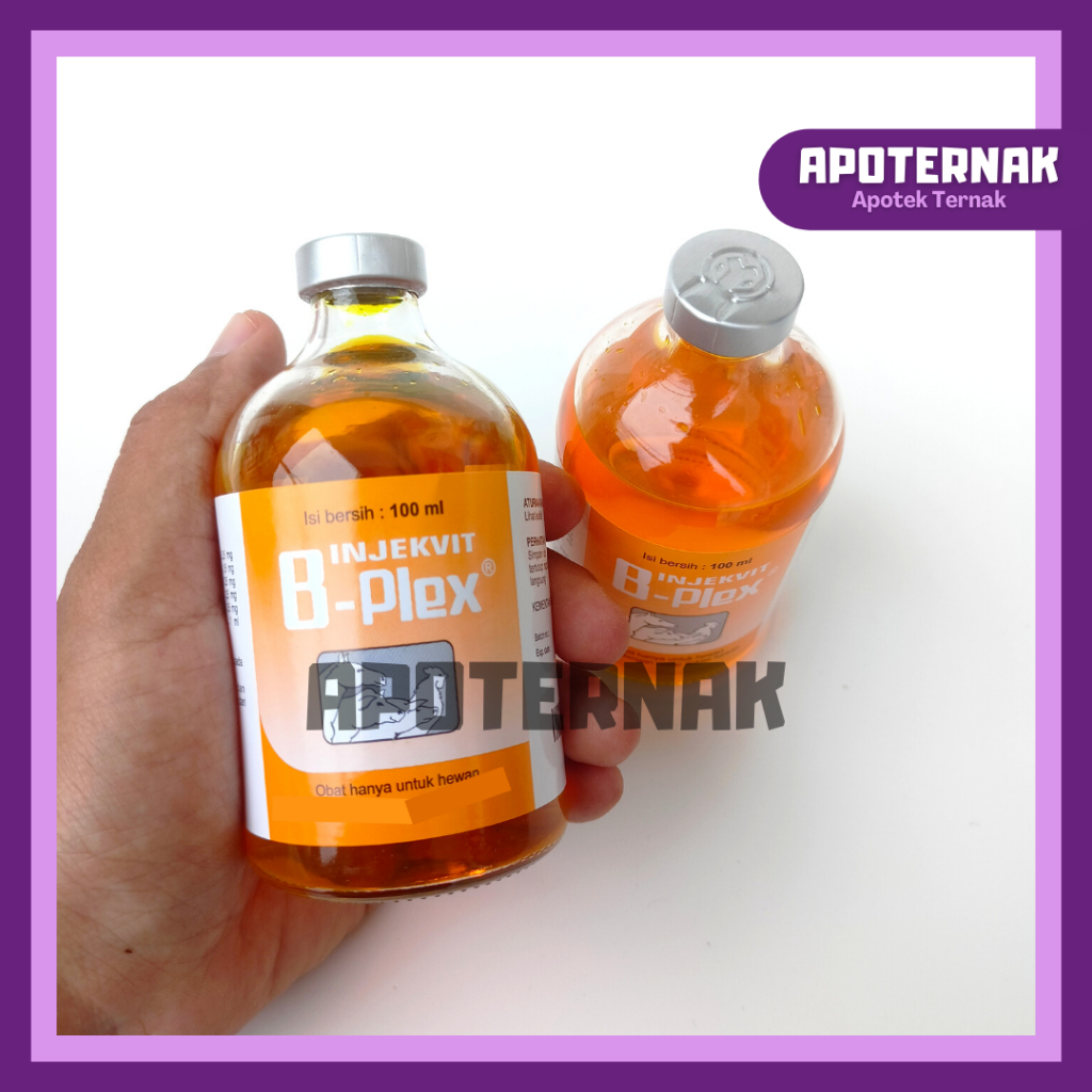 INJEKVIT B PLEX 100 ml | Vitamin B complex ternak dan unggas | Untuk kesehatan dan Produktivitas | B Komplek B Complex | Injekvit B Plejk MEDION