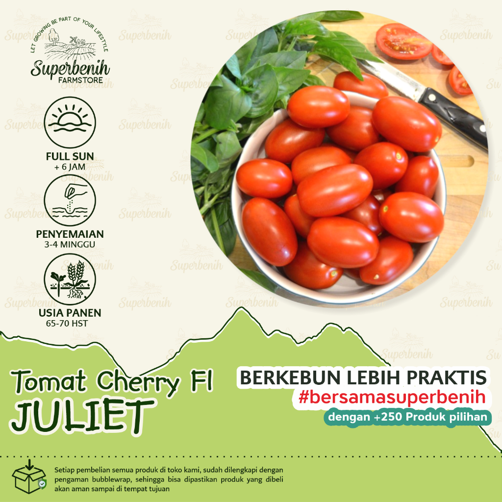 5 Biji - Benih Tomat Cherry JULIET F1, manis sedikit asam segar