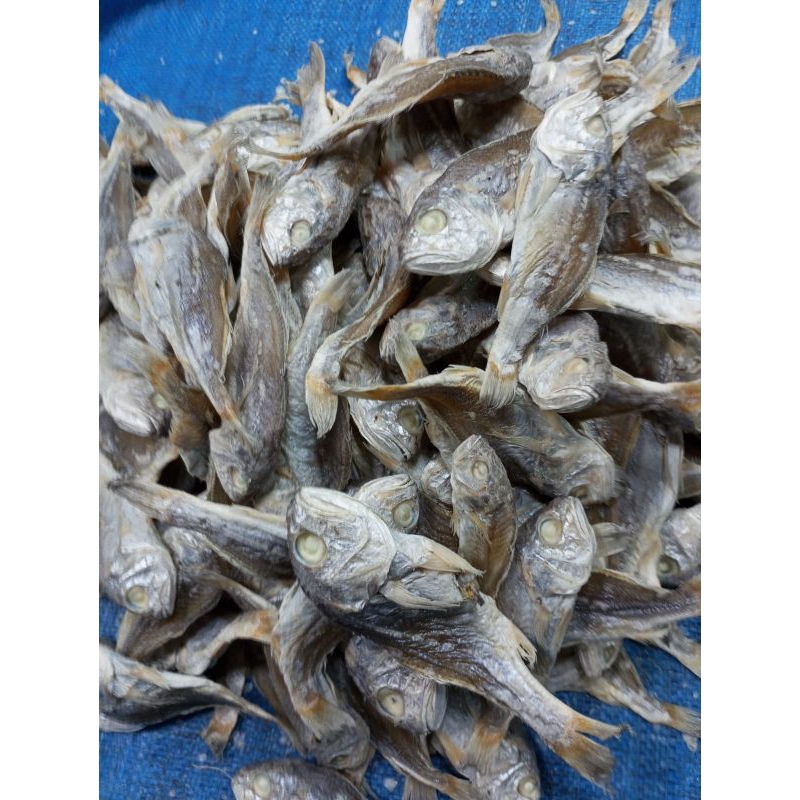 

Ikan asin kepala batu tidak belah