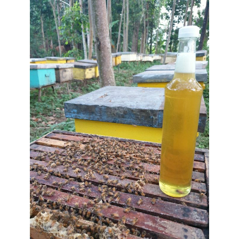 

MADU MULTIFLORA 100% MADU ORIGINAL ASLI DARI PETANI LEBAH KEMASAN 500ML