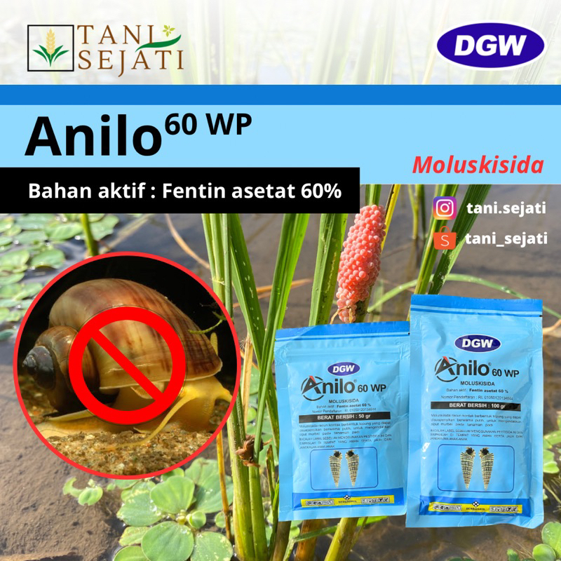 Anilo 60 WP Obat Pembasmi Hama Keong Terbaik dan Ampuh
