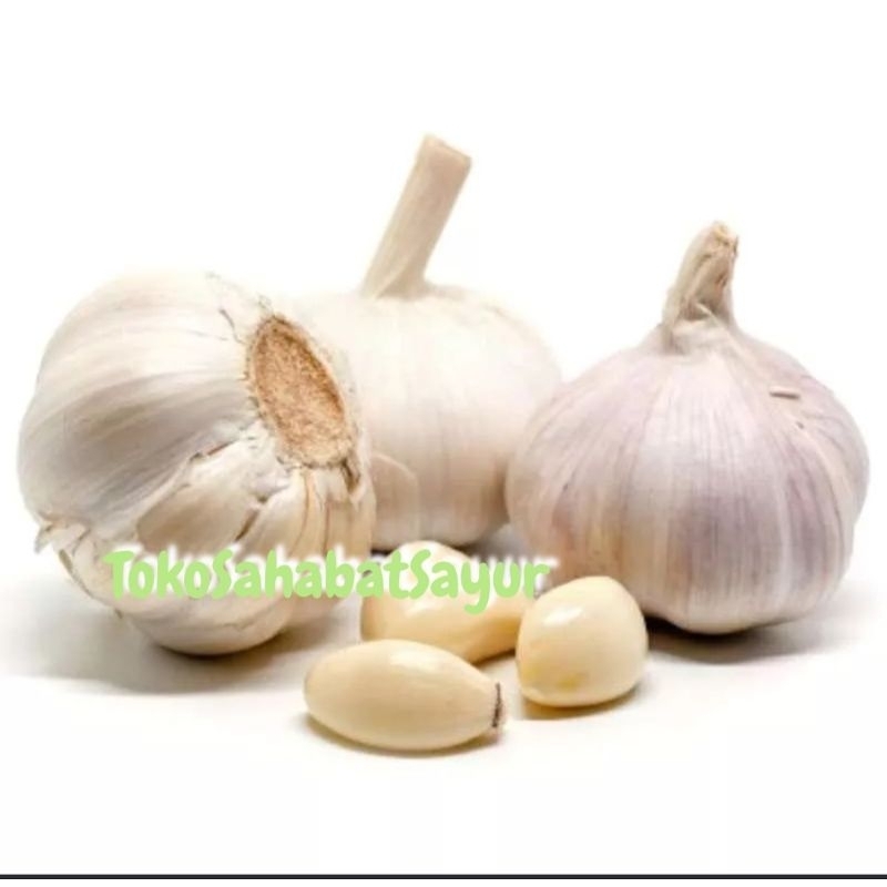 

Bawang Putih Bulat