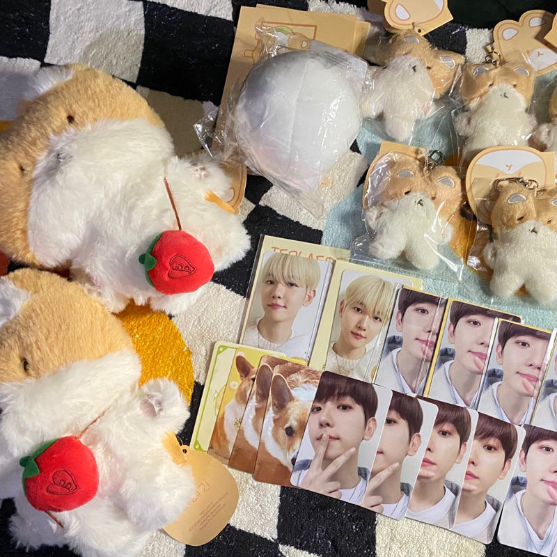[READY] md teolaegi by byun baekhyun mini plush chapssal pc photocard