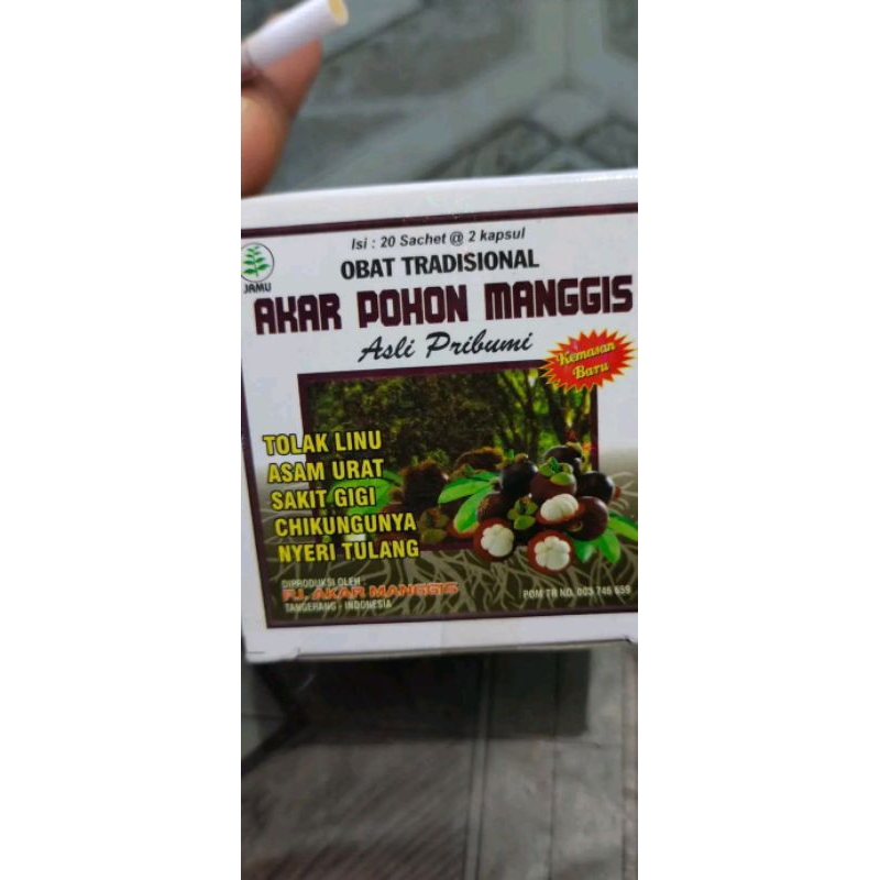 kapsul Akar pohon manggis||akar manggis Original|||