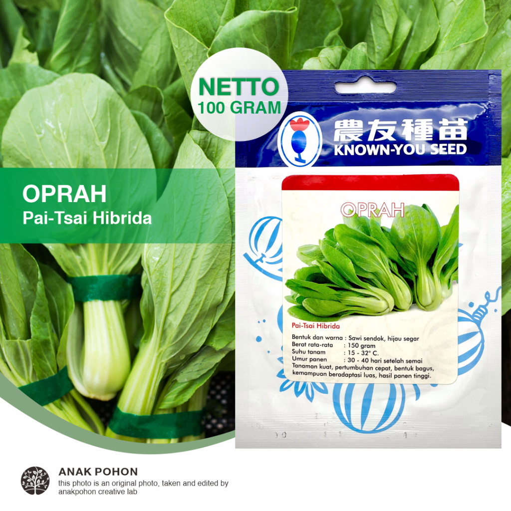 (1 PACK - 100 GRAM) Benih Sawi Pakcoy OPRAH Pak Choi Hijau Pai-Tsai Hibrida F1 Seeds - Known You Seed KYS