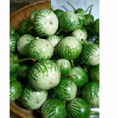 

Terong Lalap Madu | fresh