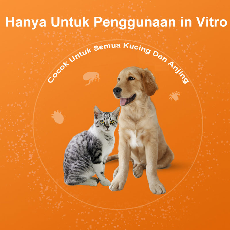 Obat Cacing Kucing Anjing Tetes Anthelmintik in Vitro Perawatan Kesehatan Hewan Anti Kutu Ticks Membunuh Telur Tungau Kudis