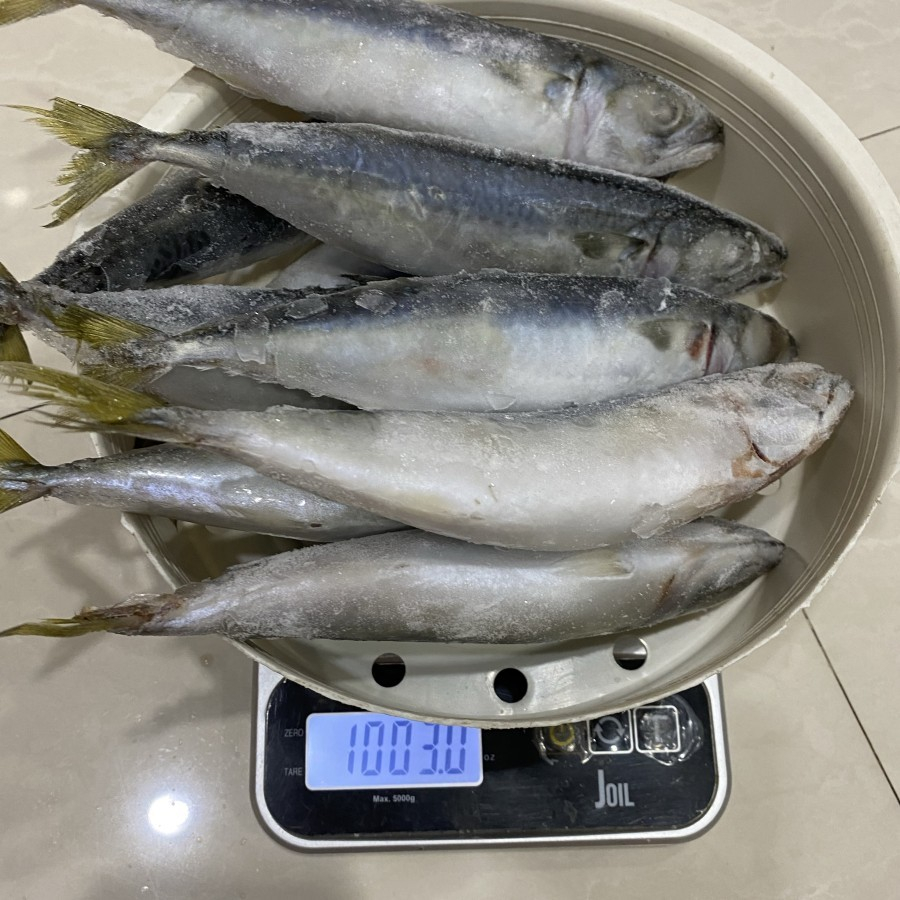 Ikan Makarel / Ikan Salem / Ikan Sarden / Ikan Saba Frozen 1Kg