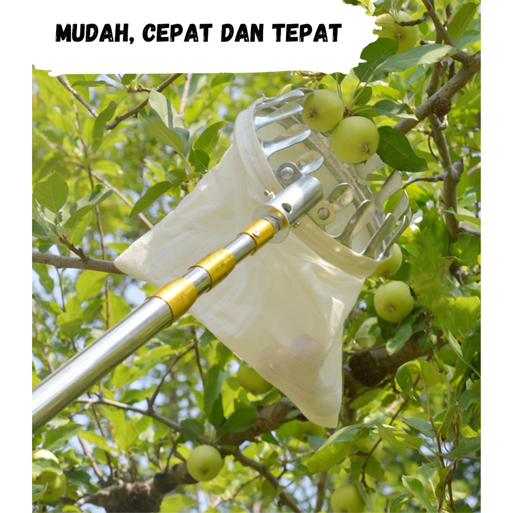 Alat Pemetik Buah Metal Fruit Picker / Alat Bantu Petik Pengambil Buah 5m