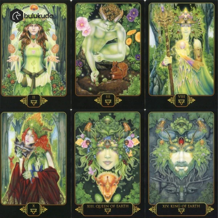 Dreams of Gaia Tarot A Tarot for a New Era (Book &amp; Cards)