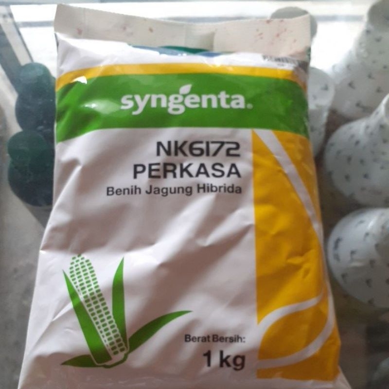 Benih jagung NK 6172 Perkasa / NK PERKASA