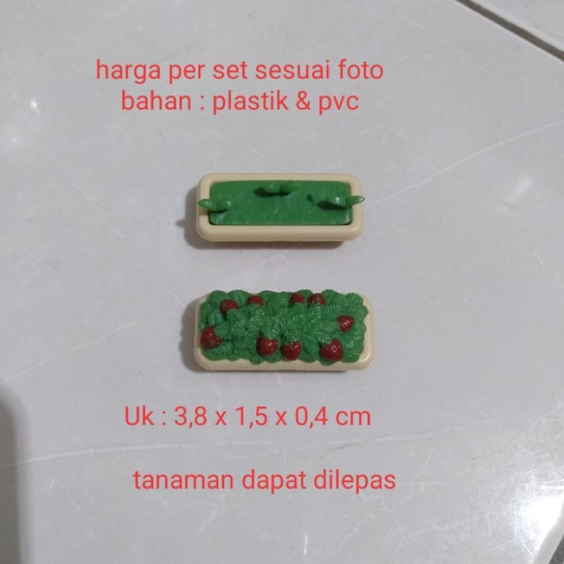 Miniatur Pot Tanaman Buah Strawberry