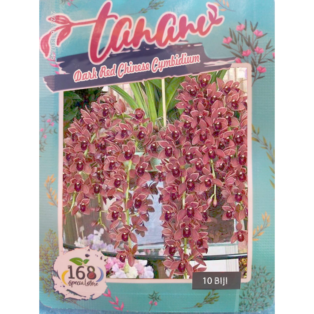 Biji Bunga Dark Red Chinese Cymbidium (Cicada Orchid Seeds) (Isi 10 biji)