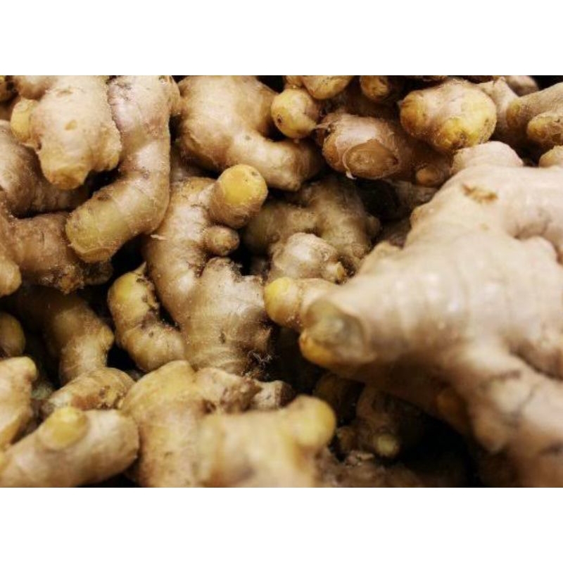 

Jahe asli organik berat 100g untuk obat herbal