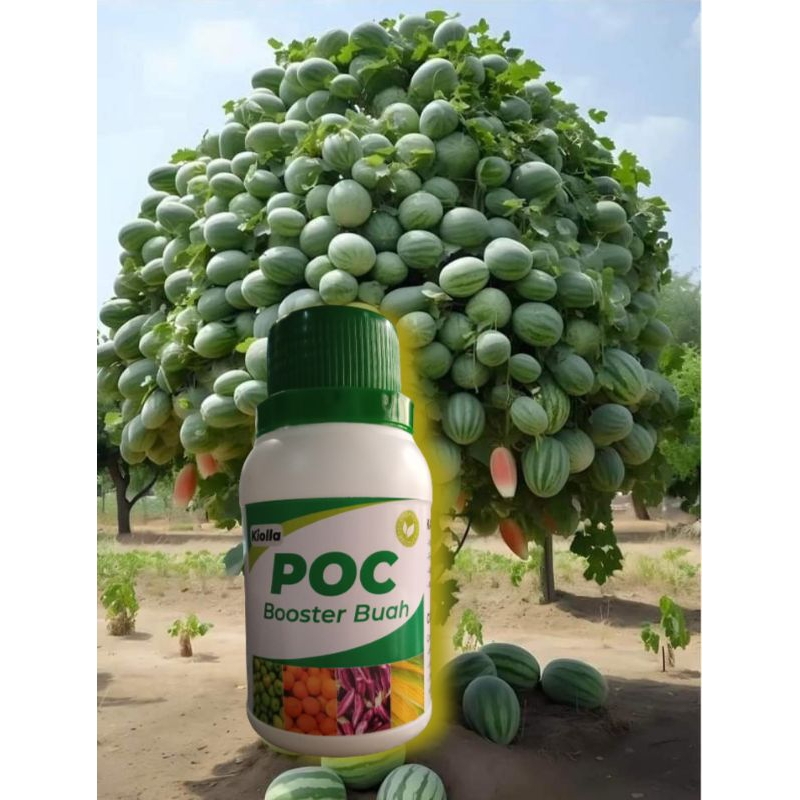 PUPUK POC BOOSTER BUAH 100ML