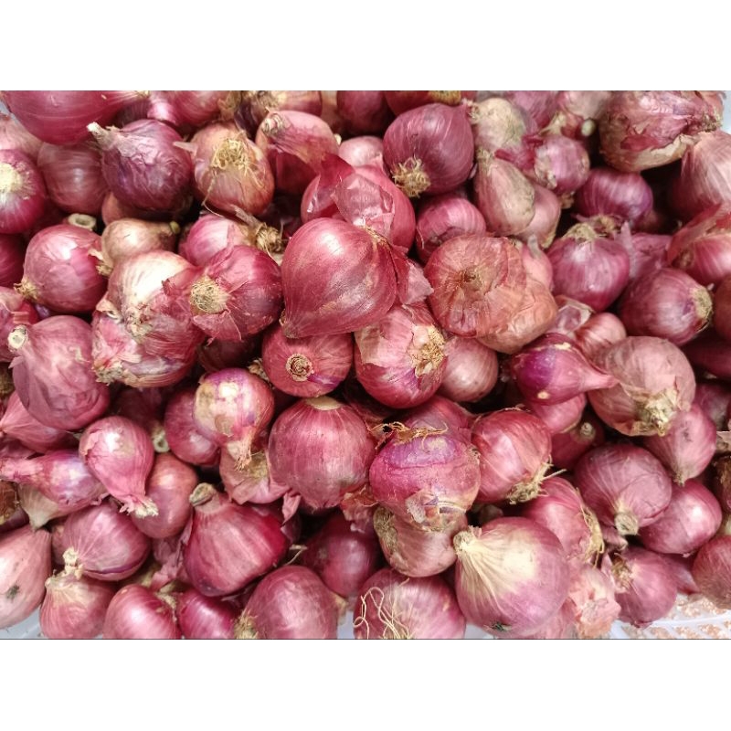 

Bawang packing ori 500gr - 1Kg
