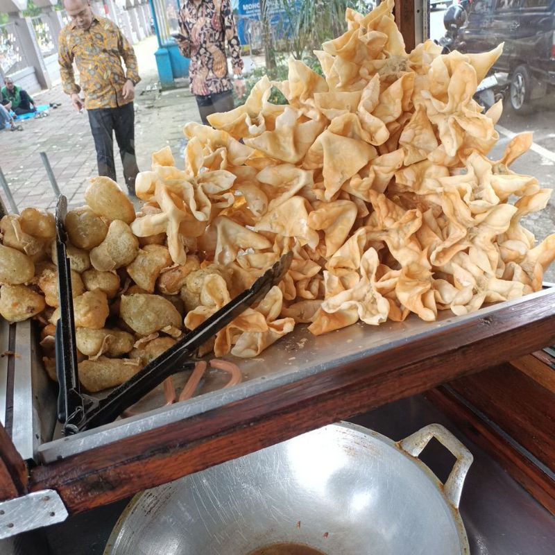 

BATAGOR
