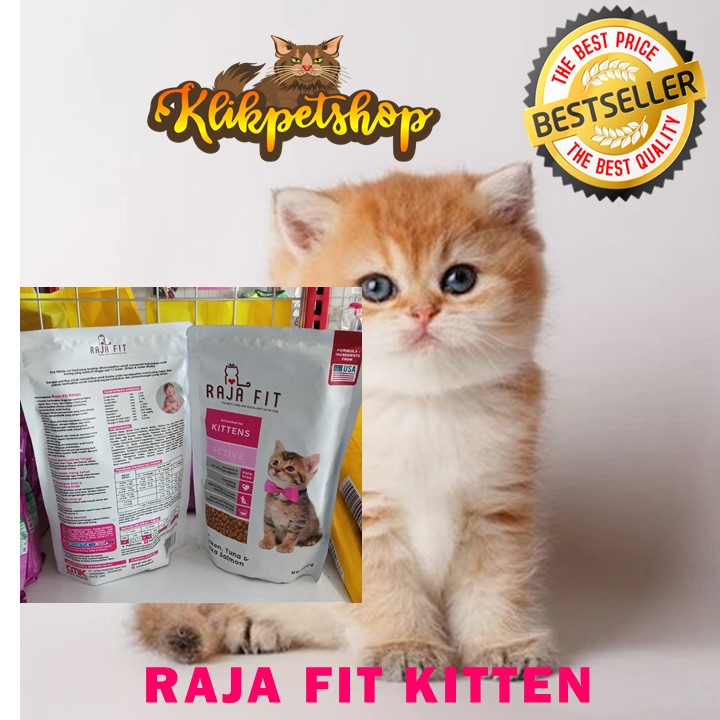 MAKANAN KUCING RAJA FIT KITTEN RAJAFIT 500 GRAM CAT FOOD