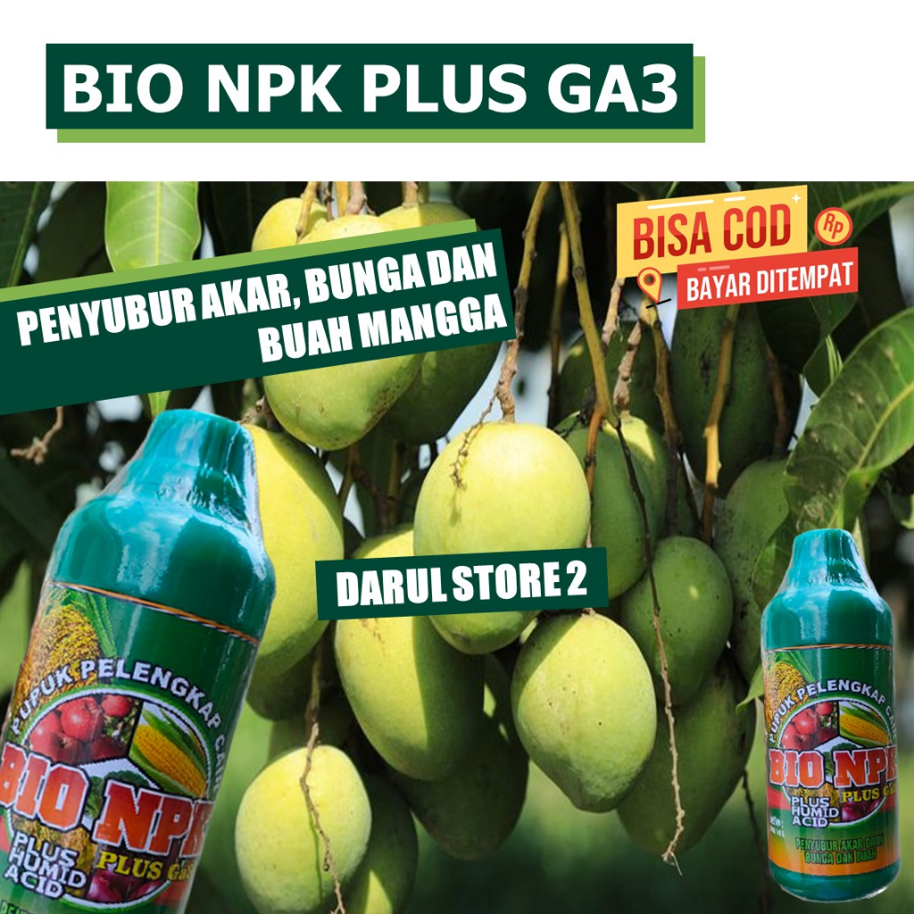 PUPUK ORGANIK CAIR POHON MANGGA CEPAT BERBUAH NPK Cair GAZA Pupuk Buah Mangga biar Panen Super Lebat