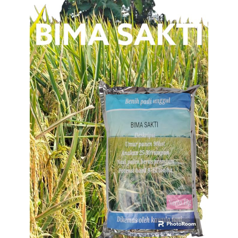 benih padi bima sakti 1kg