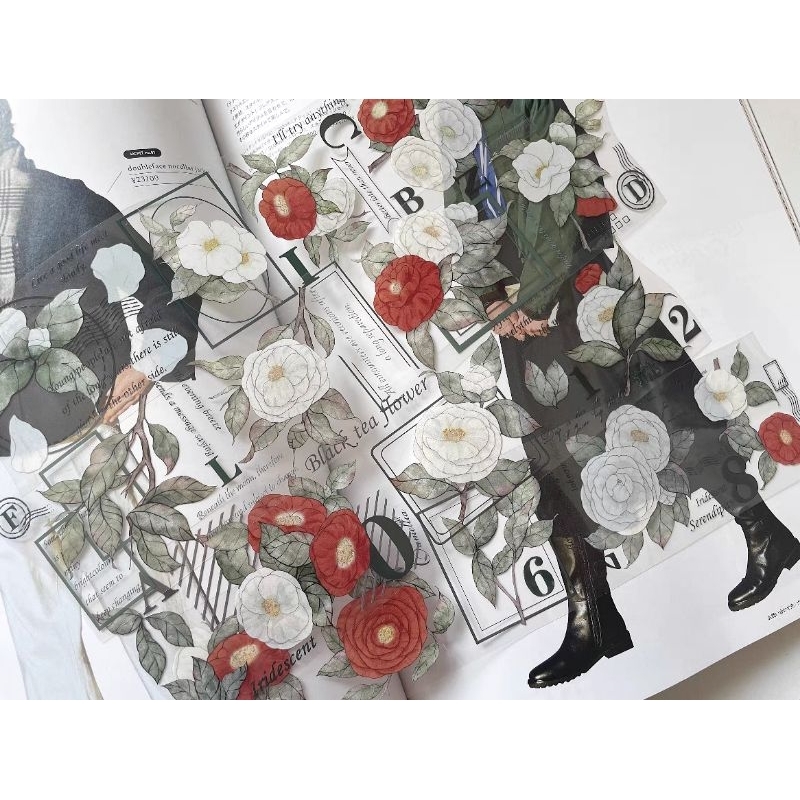 

Soyi Studio Camellia Whisper PET Tape