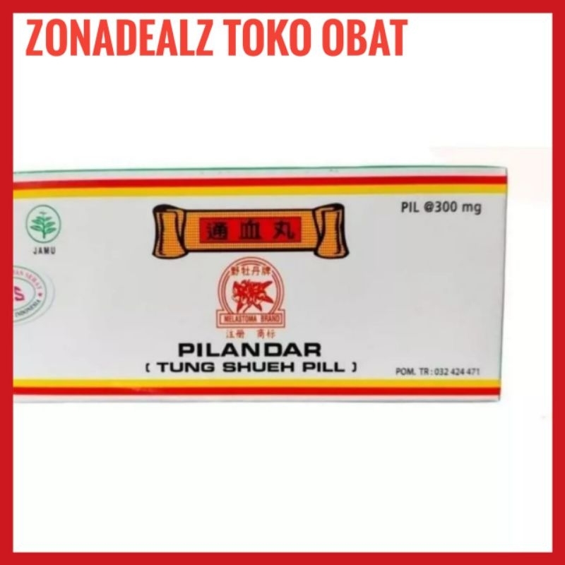PILANDAR Tung Sueh Pil ( bpom ) Obat Sirkulasi Darah dan Sakit Pinggang - Obat Cina ZONADEALZTOKOOBA
