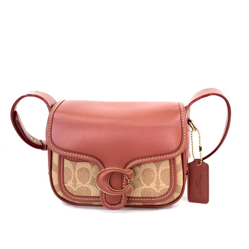 CH Tabby Messenger in Signature