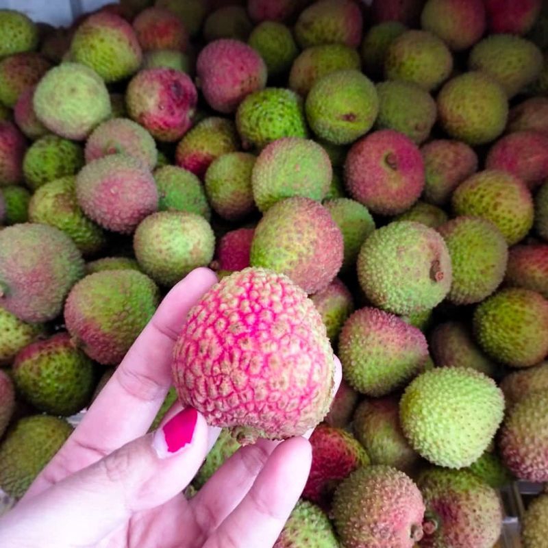 

buah leci 1kg