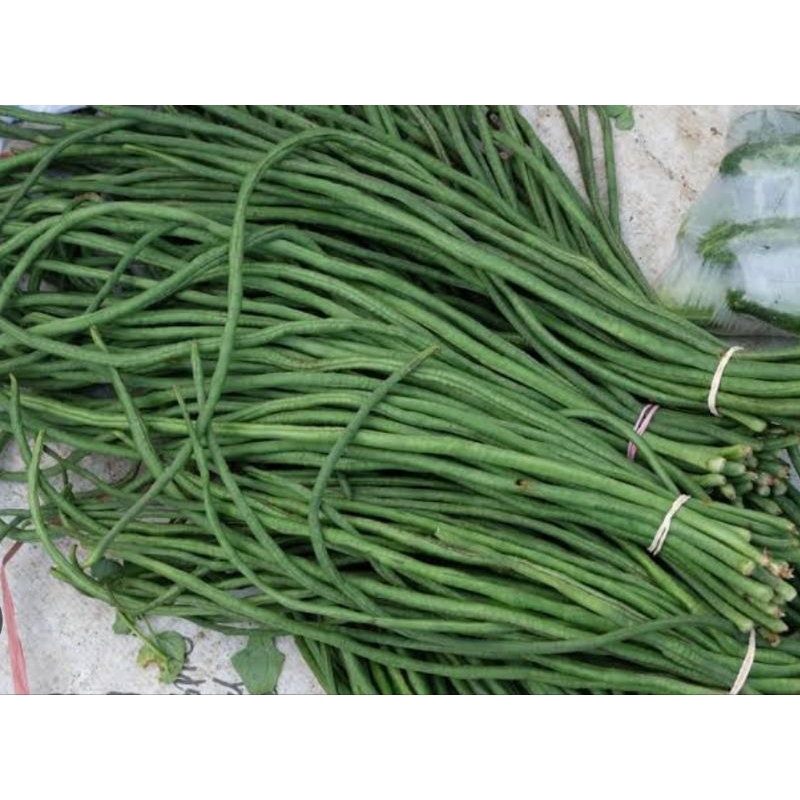 

Sayur organik kacang panjang per 1 ikat sayur non pestisida