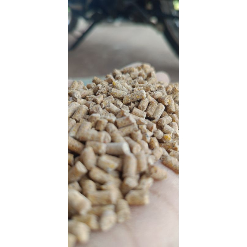 

pur ayam murah