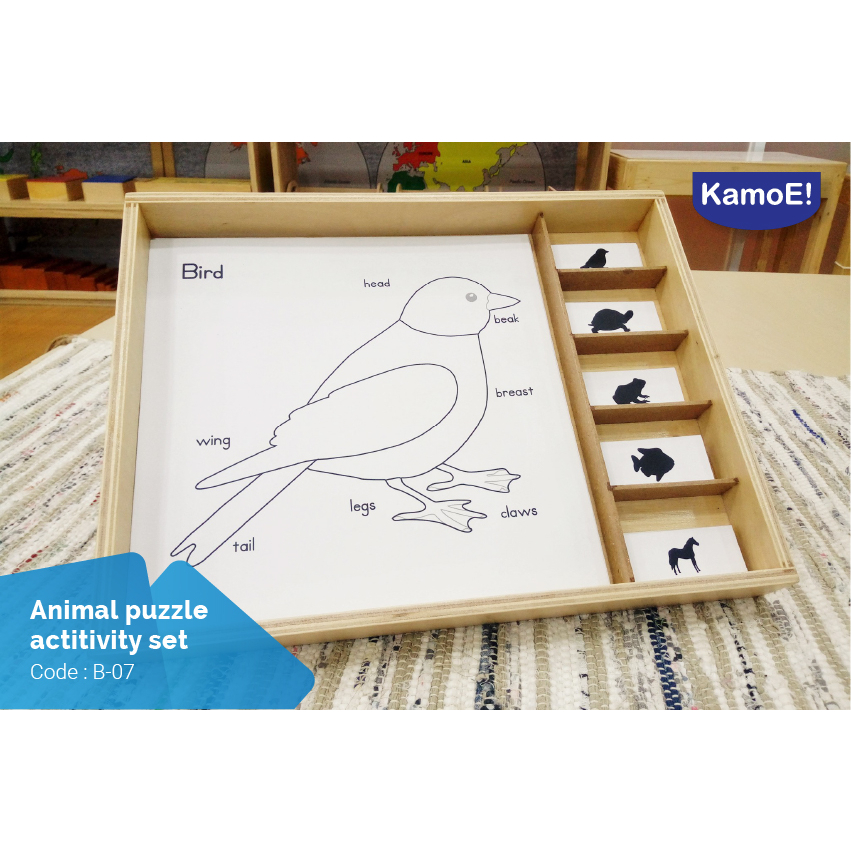 Animal Puzzle Activity Set Montessori Apparatus