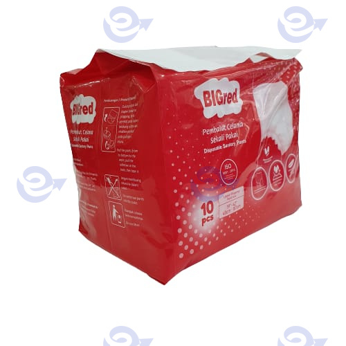 BIGred Pembalut Celana Sekali Pakai untuk Wanita Menstruasi Datang Bulan Haid, Disposable Sanitary Pants 10pcs