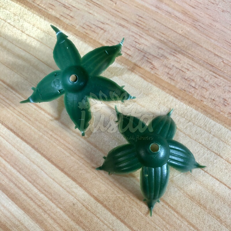 Kelopak Bunga Suyok Kelopak Bintang Matahari Suyok