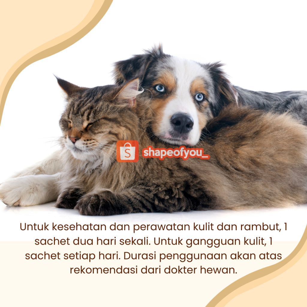 Virbac Megaderm Vitamin Suplemen Bulu Kucing Anjing 4ml Sachet