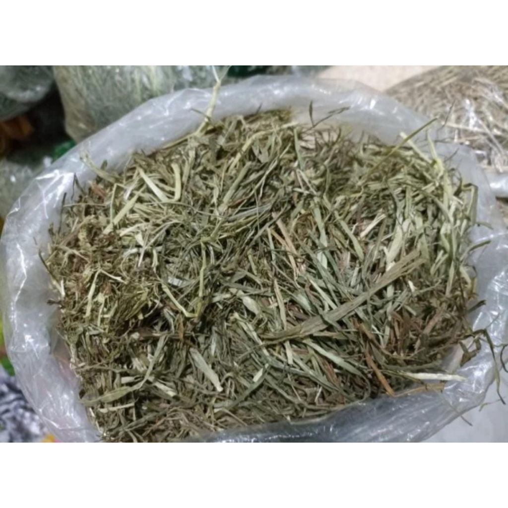 Makanan Kelinci Rumput DAILY Timothy Hay Best Choice Organic 1KG
