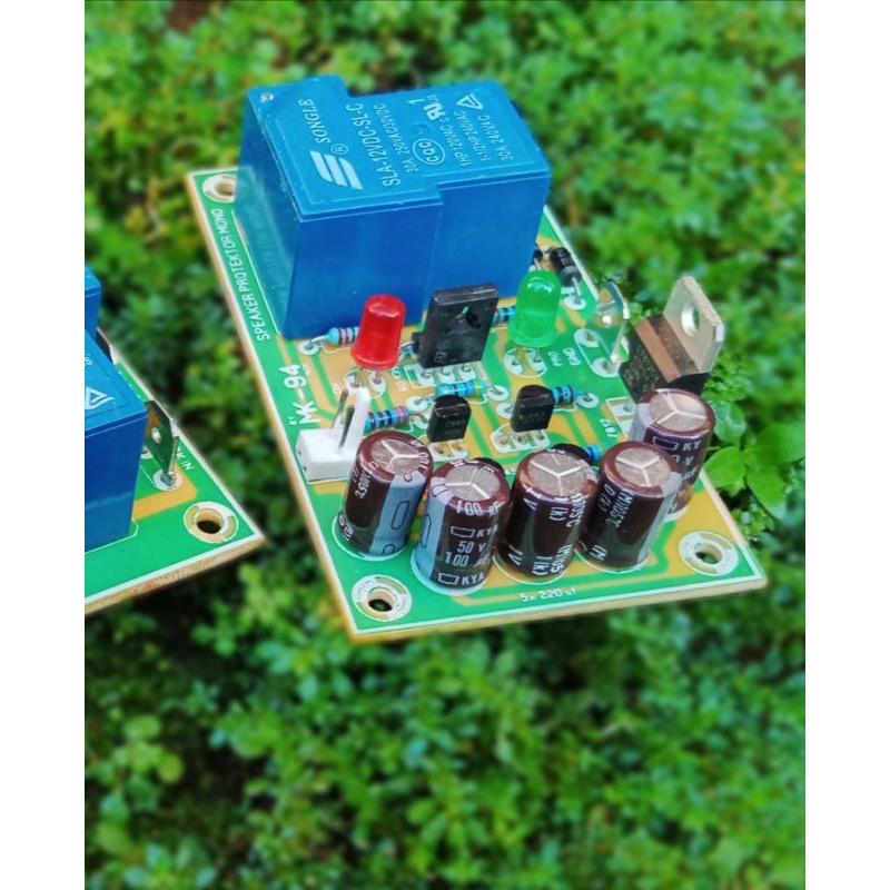 Protektor speaker mono