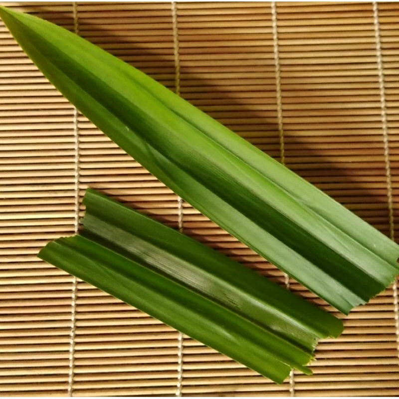 

daun pandan