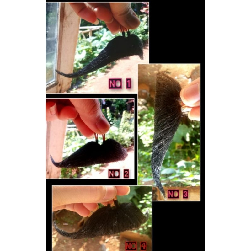 jebres/kumis/pemain jaranan/jaran kepang/kuda lumping