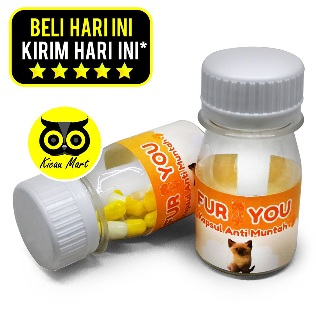 Obat Kucing Sakit Pusing Muntah Lemas Fur You Kapsul Anti Muntah Kemasan Orange For Cat Kucing Kitten Adult Heatlhy Cat Care