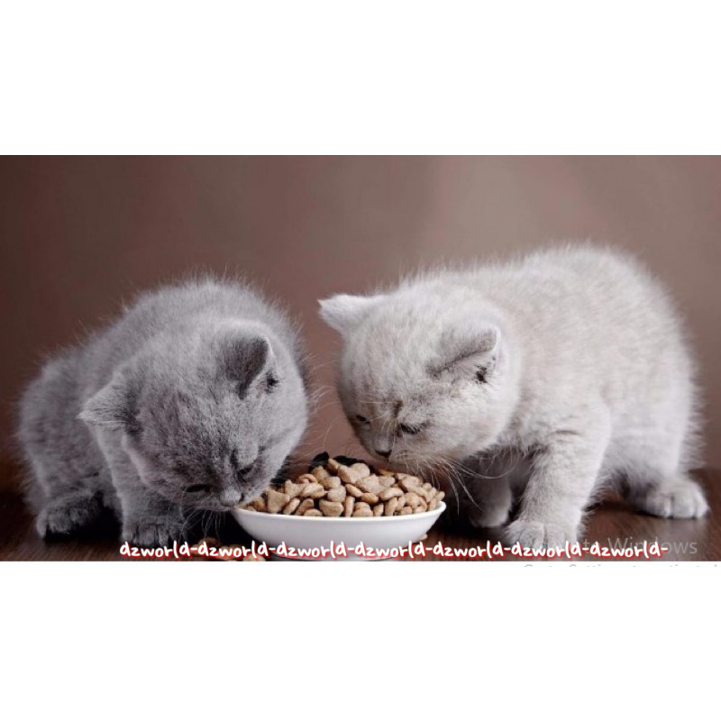 Me-o kitten 400gr Makanan Anak Kucing Kitten Food Ocean Fish Meo 400 gram