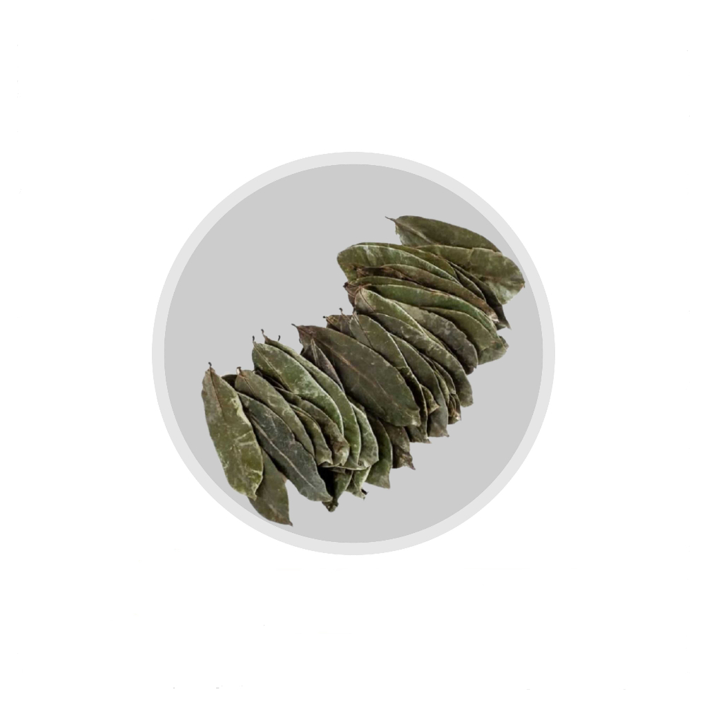 

Daun Sirsak Kering GRADE A Kwalitas Premium 50 Gram
