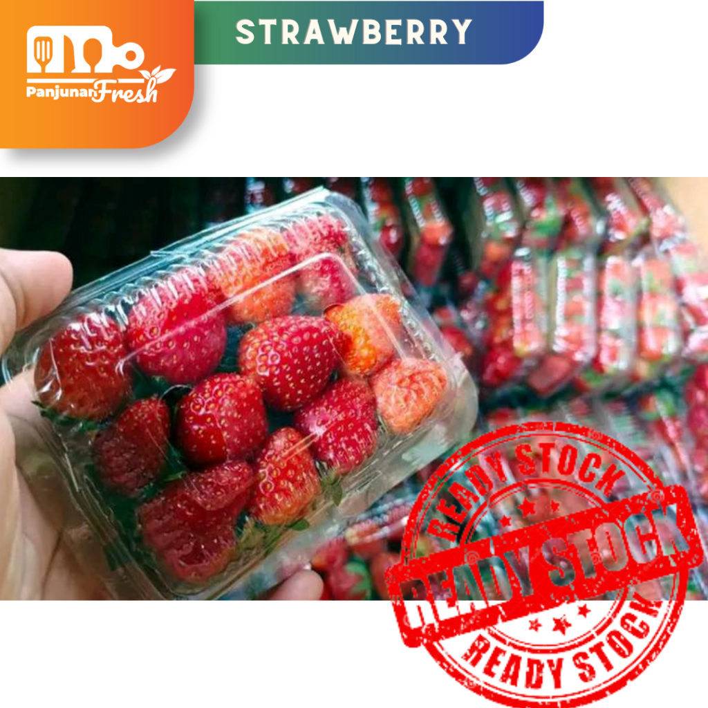 

Buah Strawberi Organik Strawberry Fruit Fresh 250 GRAM