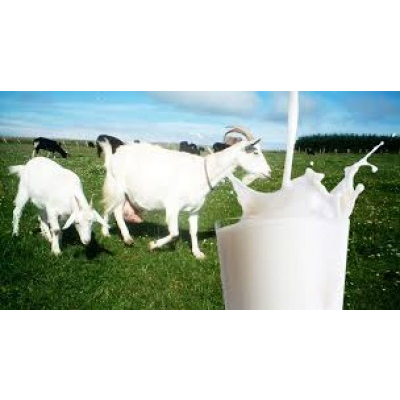 

SR12 GO MILKU SUSU KAMBING ETAWA PREMIUM AMAN UNTUK IBU HAMIL DAN MENYUSUI 600 Gr