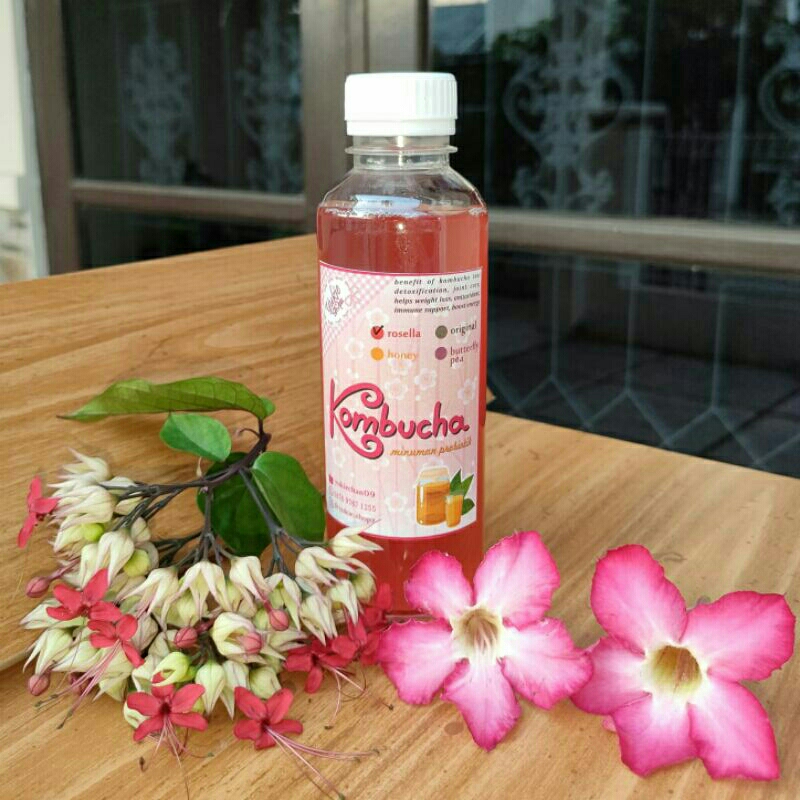 

kombucha rosella