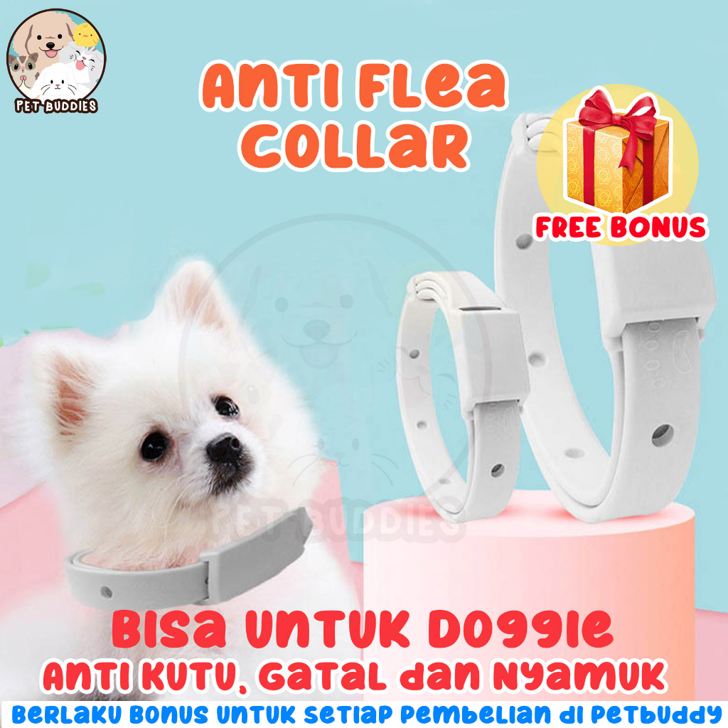 [FREE BONUS]Kalung Anti Kutu Cat Flea and Tick Collar Kucing dan Anjing